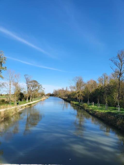 Hebergement - Canal Du Midi Saint-Martin-Lalande Eksteriør billede